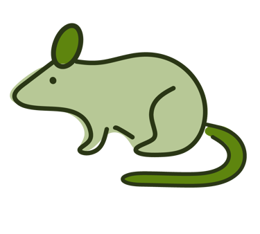 a mouse rat rat rat rat rat rat rat rat rat rat rat rat rat rat