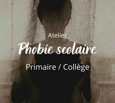 Phobie scolaire déscolarisation en marge peur angoisse refus maîtresse professeur primaire collège