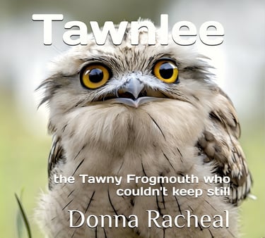 A fluffy Tawny Frogmouth bird with large orange eyes on a children's book cover titled Tawnlee.