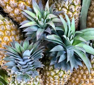 a bunch of pineapples with green leaves