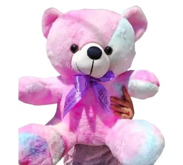Rainbow Teddy