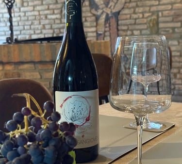 wine tasting family cellar