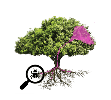 Root-Cause-Analysis-small