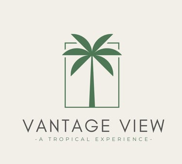 A logo featuring a green palm tree enclosed within a rectangular frame. Below the palm tree, bold text reads 'VANTAGE VIEW,'