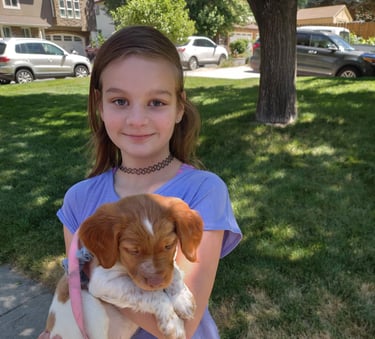 girl holding puppy dog in West Jordan Utah