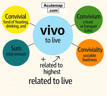 Word Power Made Easy Root Word Vivo