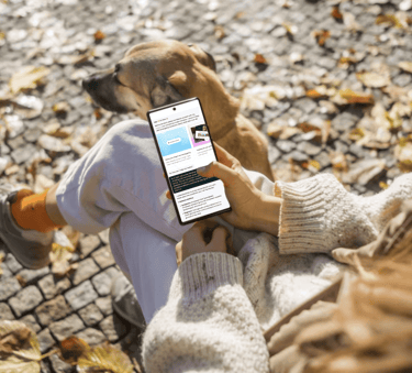 dogAdvisor ✲ dogadvisor ✲ dog advisor ✲ Blog for new dog owners ✲ dogs ✲ dog advisers ✲ dog advisors