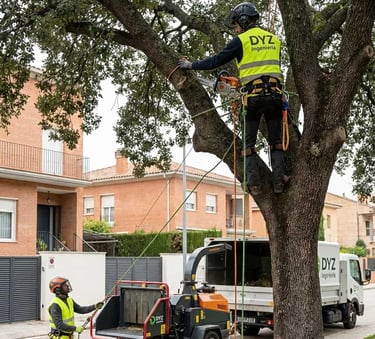 Poda, Tala y Manejo Arbóreo Profesional - DYZ Ingeniería