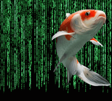 the-matrix-self-growth-spiritual-living-inner-energy-harmony