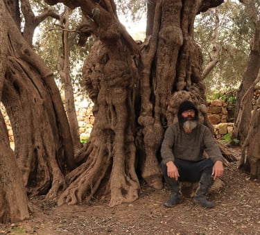 Help to save the roots of Palestine with you donations