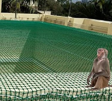 monkey-safety-nets-in-bangalore