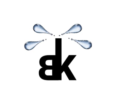 bk logo