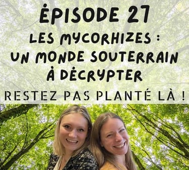 2pisode sur les mycorhizes, un monde souterrain à décrypter