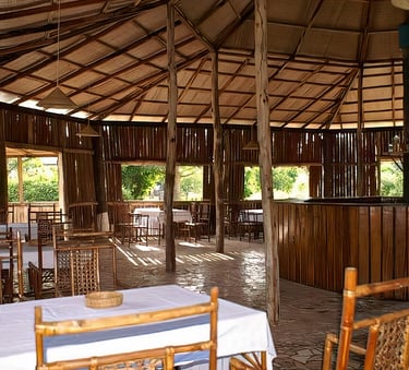 A serene view of Sita Joyeh Baobab Island, featuring towering baobab trees with their distinctive th