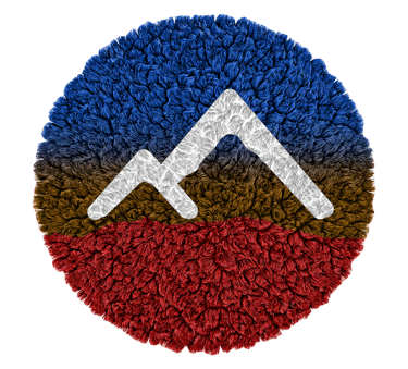 Carpet NV logo