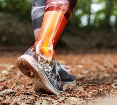 Sports Physiotherapy Stress fracture Tendinitis Muscle stain Contusion Tennis elbow Carpet tun