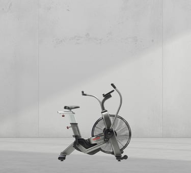 Assault Fitness AssaultBike Elite commercial air bike UAE by FLYWHEEL ME Dubai