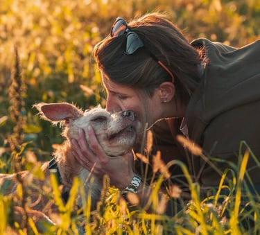 un dolce gesto affettuoso tra un cane bianco e la sua padrona in un prato