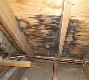 Signs of a leaking roof