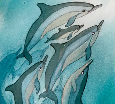 Hawaiian spinner dolphins or naia by Erzsi Palko