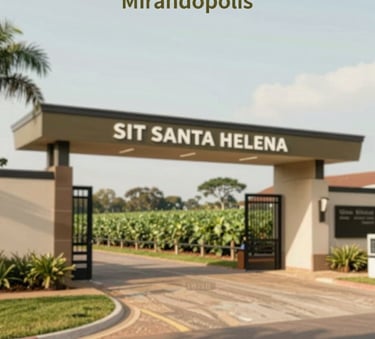 A professional wide shot of the SIT SANTA HELENA property entrance in Mirandópolis, featuring clean fences and a modern agricultural aesthetic. The scene is illuminated by natural daylight with a palette of greens (#88A67B) and browns (#3F322B), conveying reliability and expertise.