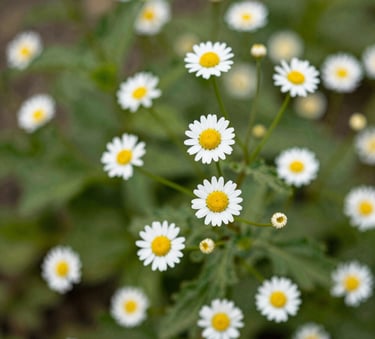 Bright living room with modern inventory