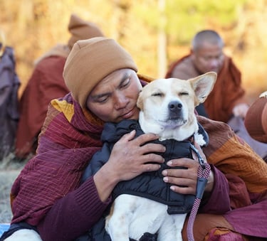 Peace Dog ALOKA monks and aloka