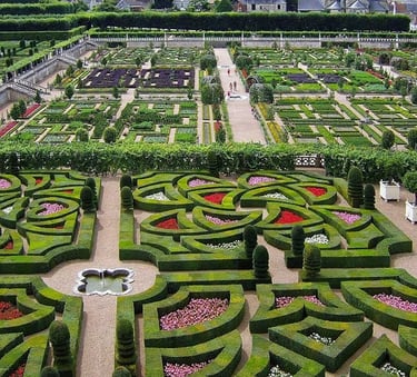jardins à la Française du Chateau de Villandry