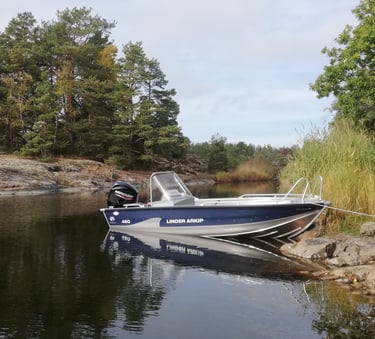 bateau linder arkip 460