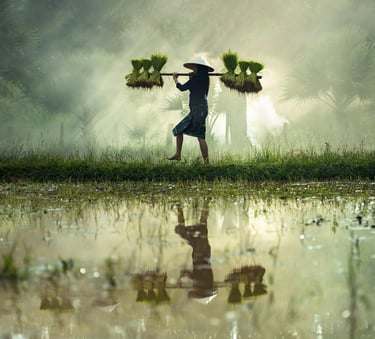 Indonesian farmer walking through agricultural field representing product sourcing