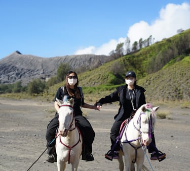 Rent horse in Bromo if you would like enjoy panorama