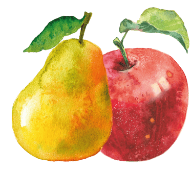 ein roter Apfel und eine Birne