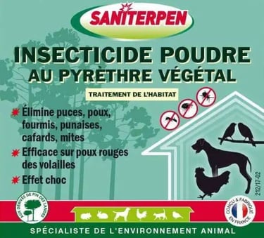 Pyrèthre pour le jardin