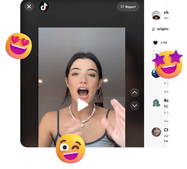 TikTok Video Downloader