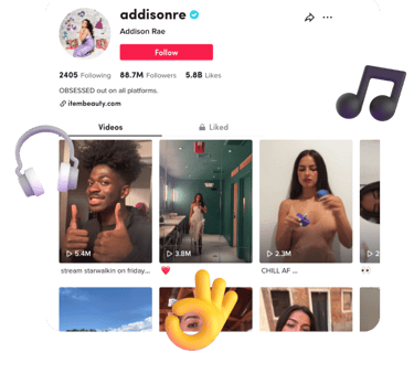 TikTok Video Downloader