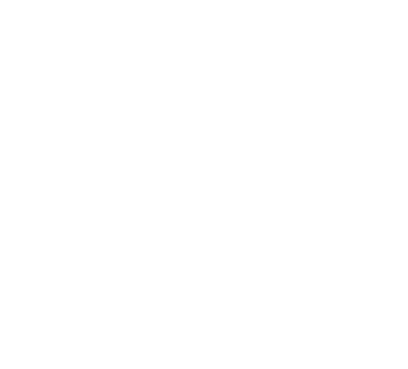 logo bao artisans