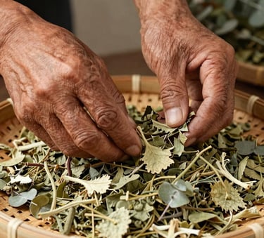 Close-up photography of weathered hands of a local farmer gently sorting dried herbal leaves on a handmade bamboo tray, warm natural lighting, earthy eucalyptus green tones in the background.