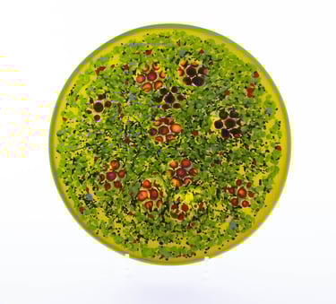 Summer Meadow - Dish