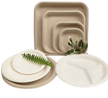a plate with a fern leaf on it