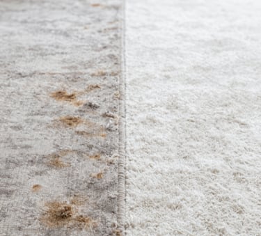 A detailed side-by-side comparison of a carpet. The left half is stained and worn; the right half is bright, fresh, and professionally steam cleaned. The image is clean and high-contrast, incorporating a professional mood and brand colors #EDF5F5 and #3A6B6C.