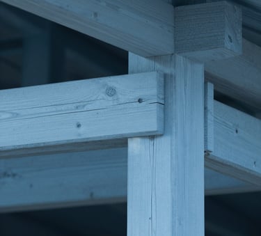 A close-up of a perfectly clean and protected wooden structure, free of termites, illuminated by soft blue architectural lighting (#6B8CCD), emphasizing structural integrity.