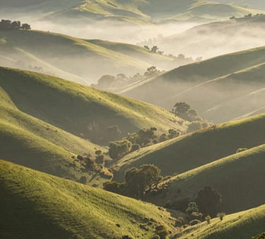 A high-resolution landscape photograph of the rolling green hills and misty valleys of Hampshire County, West Virginia, during a bright morning, captured with a wide-angle lens in a professional travel photography style, incorporating natural tones of light green and beige.