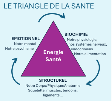 En kinésiologie, santé et bien-être reposent sur l’équilibre de trois dimensions