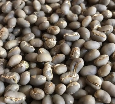 Arabica Indonesia Gayo peaberry – clean bright floral and herbal profile, smaller unique bean shape,