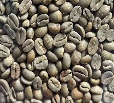 Arabica Indonesia Gayo Specialty natural – lychee, banana, floral, caramel, light acidity; etc