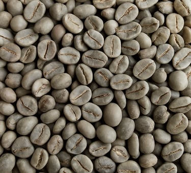 Robusta Indonesia G series (G1-G5) – wet washed beans with strong body, dark chocolate, nutty and ea