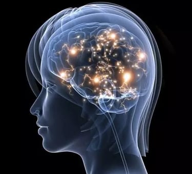 Visage humain de profil tourné vers la gauche laisse apparaître par transparence le cerveau éclairé