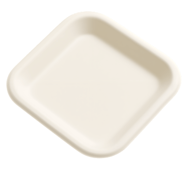 7-inch biodegradable square plate made from sugarcane bagasse.