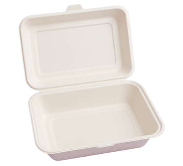 Eco-friendly disposable 9x6 inch clamshell box for food packaging.