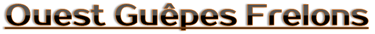 le logo ouest guêpes frelons